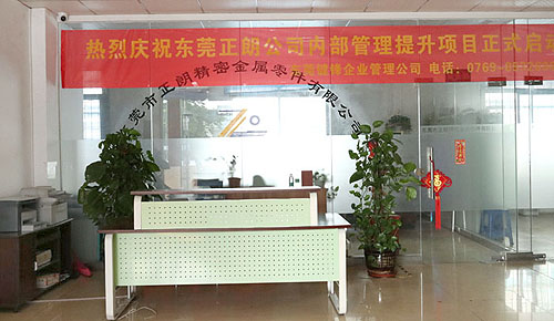 warmly celebrate the launch of the new website of dongguan zhenglang precision metal parts co., ltd.